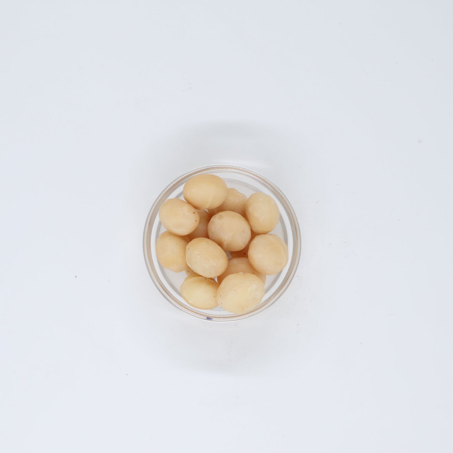 Macadamia Nuts